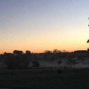 Meet your Posher, Adrianna